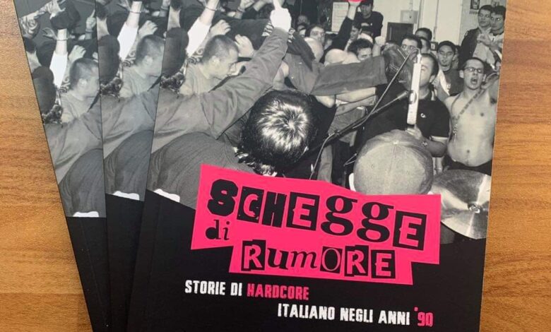Alcune copie del libro schegge di rumore hardcore anni 90