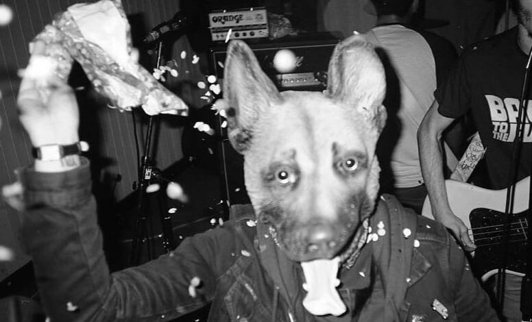 immagine per l'articolo speciale lostdog records