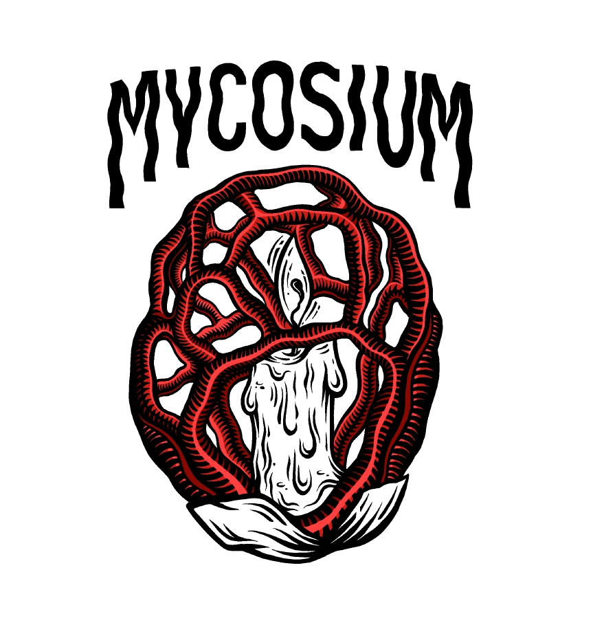 immagine per articolo mycosium