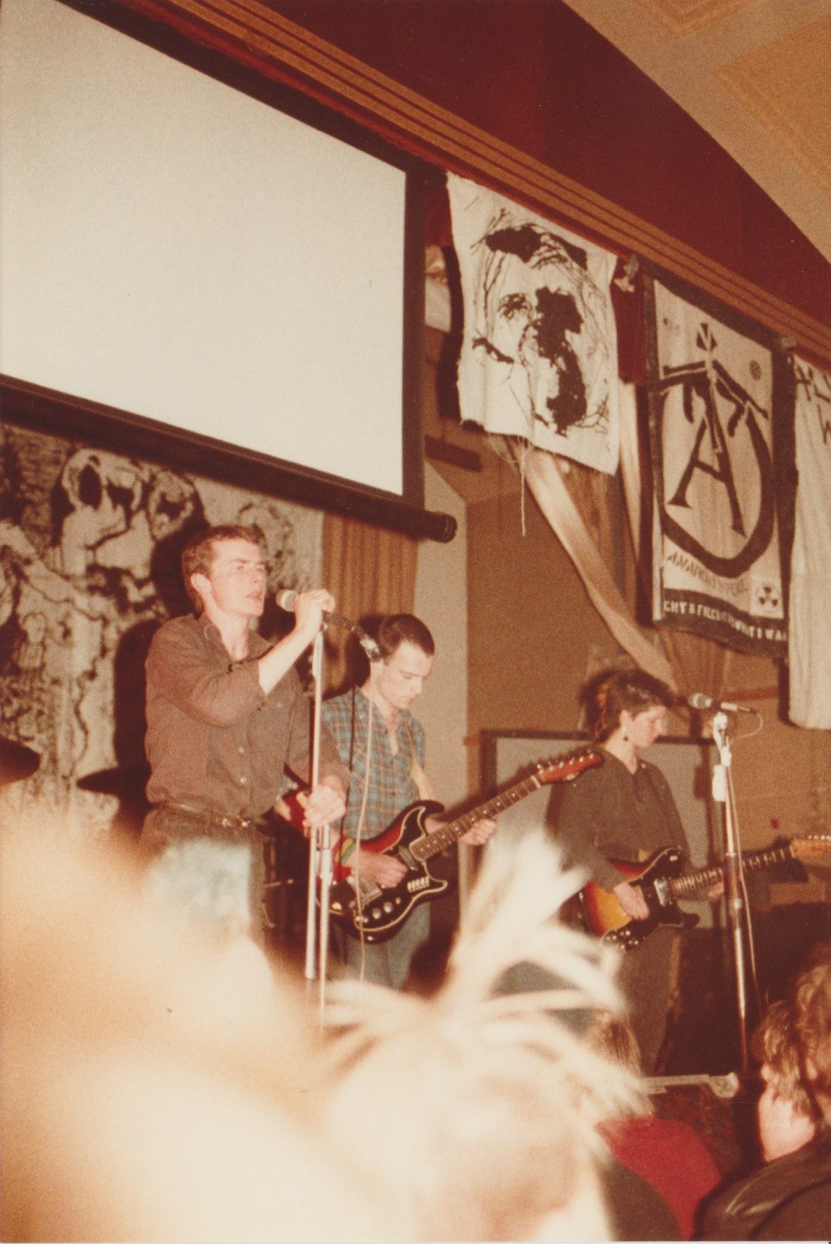 foto per articolo Flux of the pink indians