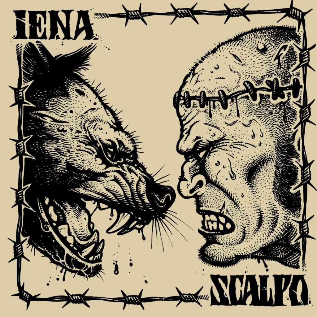 intervista iena e scalpo split